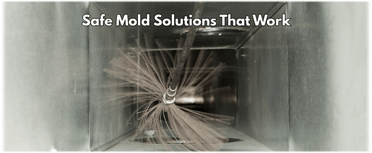 Air Duct Mold Removal in Alexandria