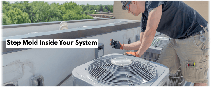 HVAC Mold Removal Alexandria